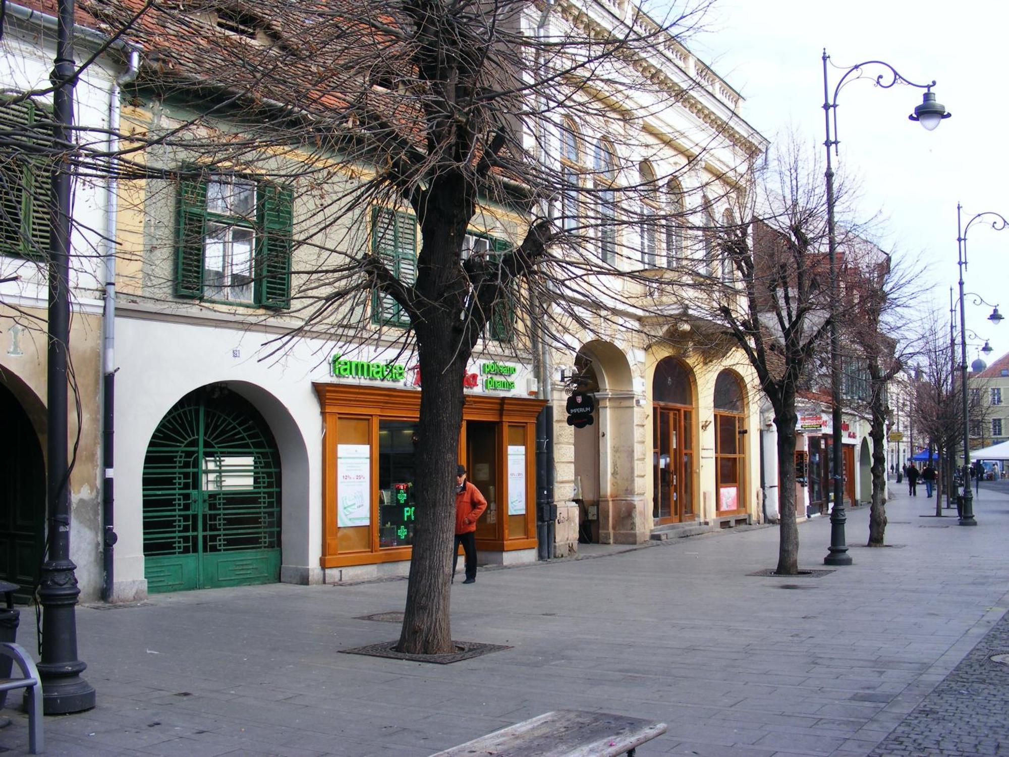 Apartment Gabriel Sibiu Exteriér fotografie